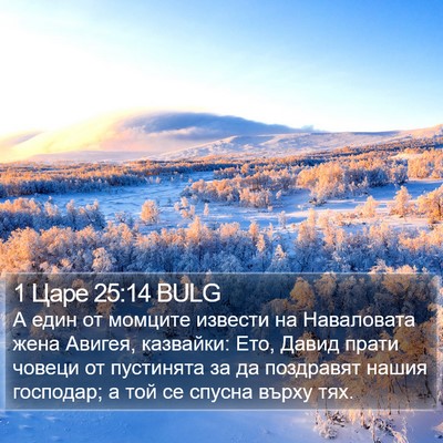 1 Царе 25:14 BULG Bible Verse Image