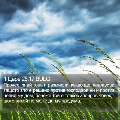 1 Царе 25:17 BULG Bible Verse Image