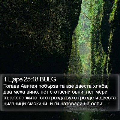 1 Царе 25:18 BULG Bible Verse Image