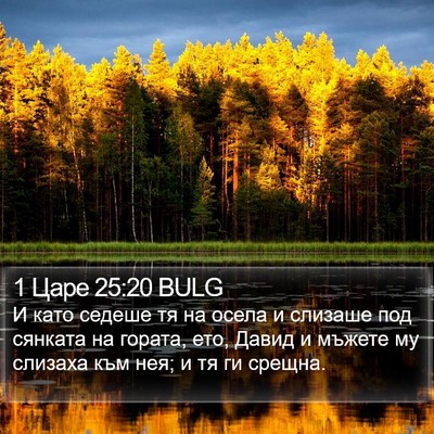 1 Царе 25:20 BULG Bible Verse Image