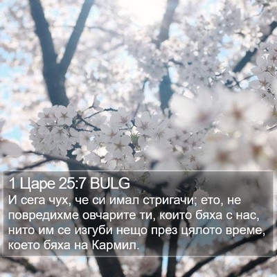 1 Царе 25:7 BULG Bible Verse Image
