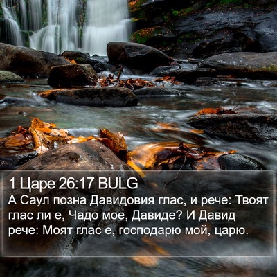 1 Царе 26:17 BULG Bible Verse Image