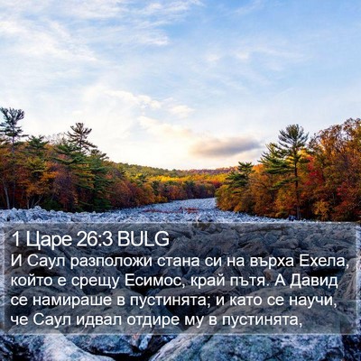 1 Царе 26:3 BULG Bible Verse Image