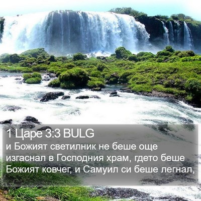 1 Царе 3:3 BULG Bible Verse Image