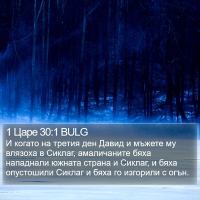 1 Царе 30:1 BULG Bible Verse Image