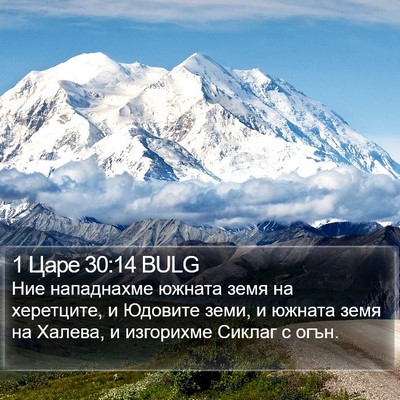1 Царе 30:14 BULG Bible Verse Image