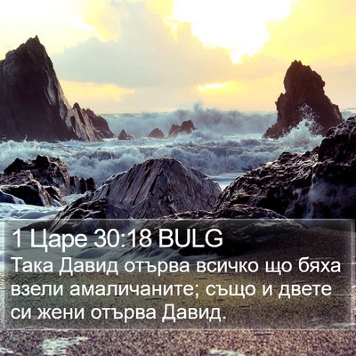 1 Царе 30:18 BULG Bible Verse Image