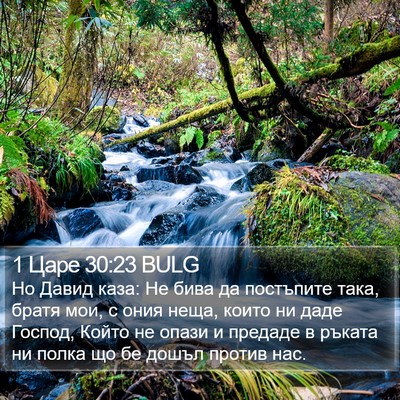 1 Царе 30:23 BULG Bible Verse Image