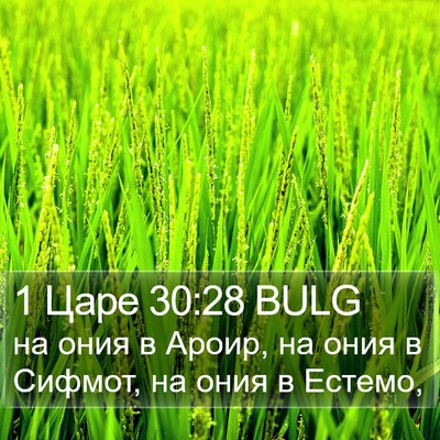 1 Царе 30:28 BULG Bible Verse Image