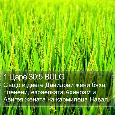 1 Царе 30:5 BULG Bible Verse Image