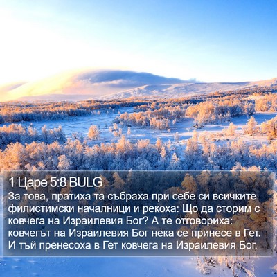 1 Царе 5:8 BULG Bible Verse Image