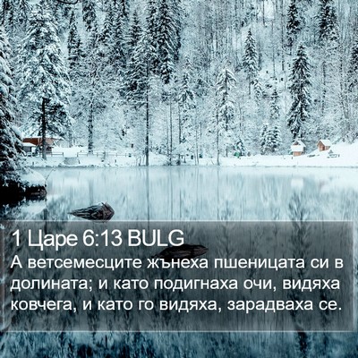 1 Царе 6:13 BULG Bible Verse Image