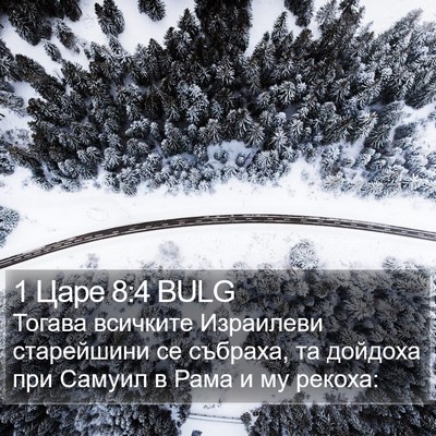 1 Царе 8:4 BULG Bible Verse Image