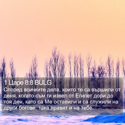1 Царе 8:8 BULG Bible Verse Image