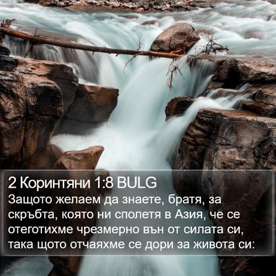 2 Коринтяни 1:8 BULG Bible Verse Image