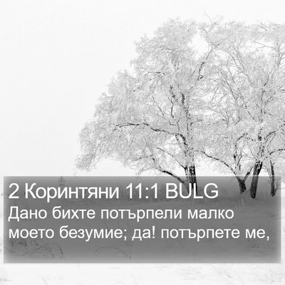 2 Коринтяни 11:1 BULG Bible Verse Image
