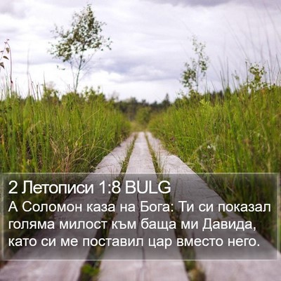 2 Летописи 1:8 BULG Bible Verse Image