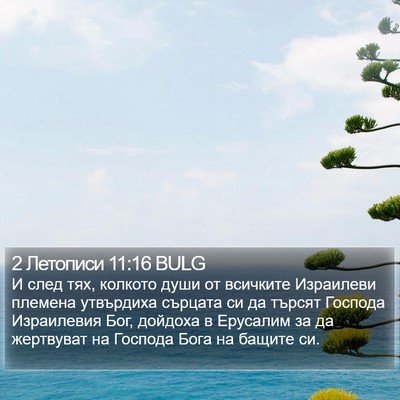 2 Летописи 11:16 BULG Bible Verse Image