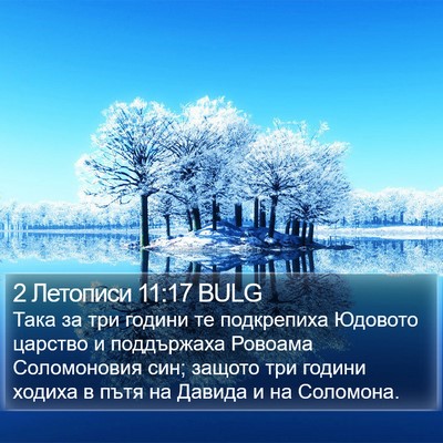 2 Летописи 11:17 BULG Bible Verse Image