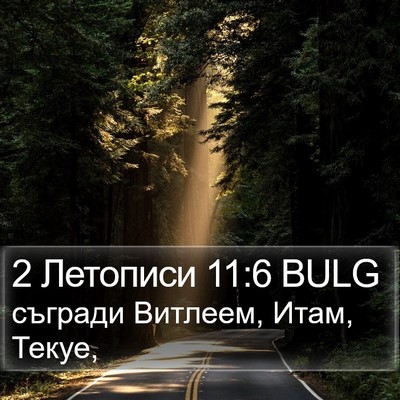 2 Летописи 11:6 BULG Bible Verse Image