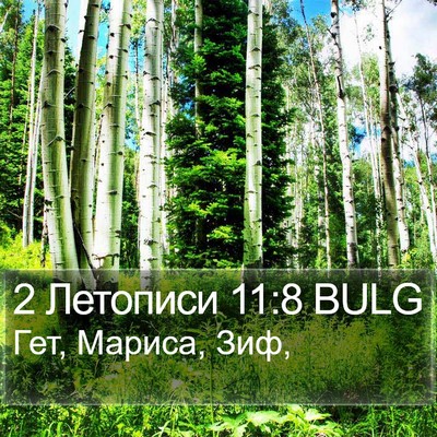 2 Летописи 11:8 BULG Bible Verse Image
