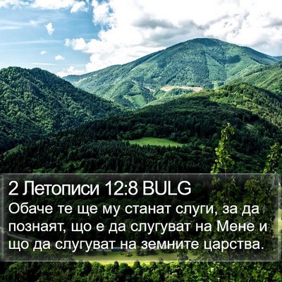 2 Летописи 12:8 BULG Bible Verse Image