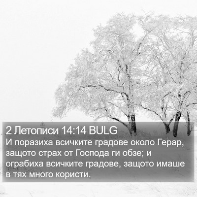 2 Летописи 14:14 BULG Bible Verse Image