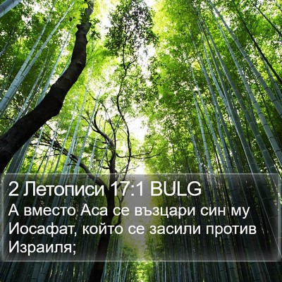 2 Летописи 17:1 BULG Bible Verse Image