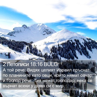 2 Летописи 18:16 BULG Bible Verse Image