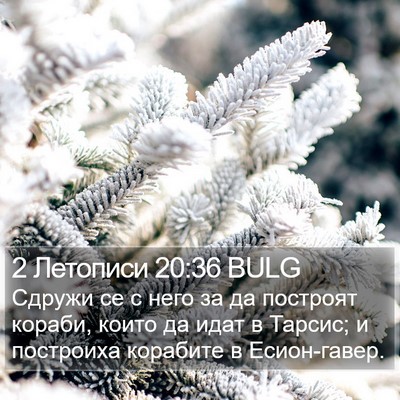 2 Летописи 20:36 BULG Bible Verse Image