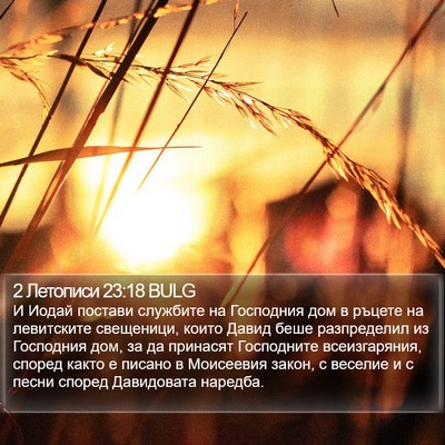 2 Летописи 23:18 BULG Bible Verse Image