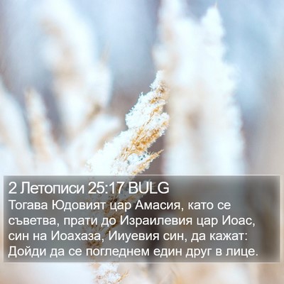 2 Летописи 25:17 BULG Bible Verse Image