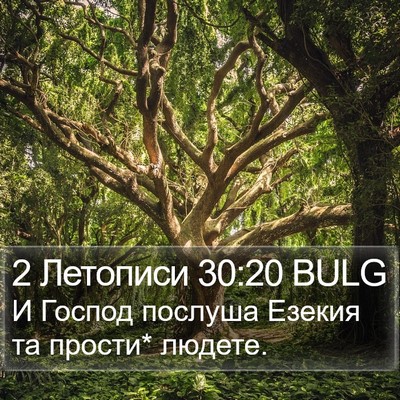 2 Летописи 30:20 BULG Bible Verse Image
