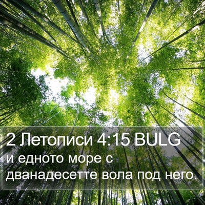 2 Летописи 4:15 BULG Bible Verse Image