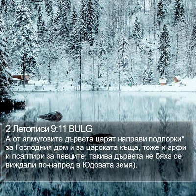 2 Летописи 9:11 BULG Bible Verse Image