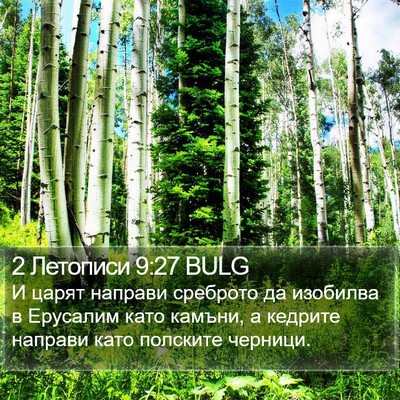 2 Летописи 9:27 BULG Bible Verse Image