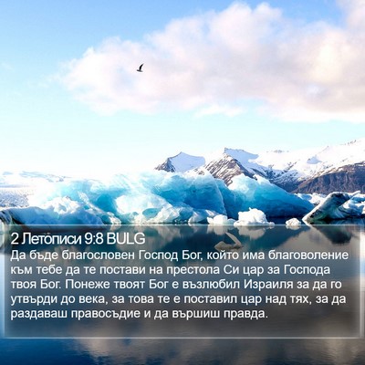 2 Летописи 9:8 BULG Bible Verse Image
