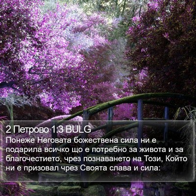 2 Петрово 1:3 BULG Bible Verse Image