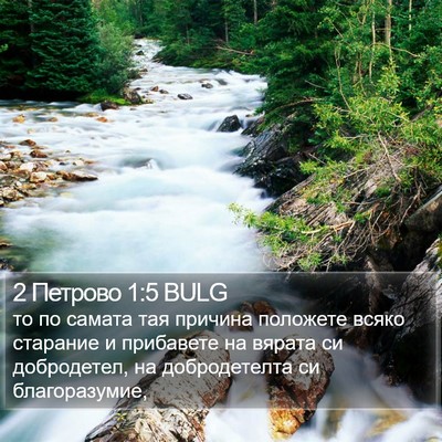 2 Петрово 1:5 BULG Bible Verse Image