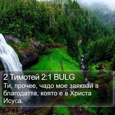 2 Тимотей 2:1 BULG Bible Verse Image