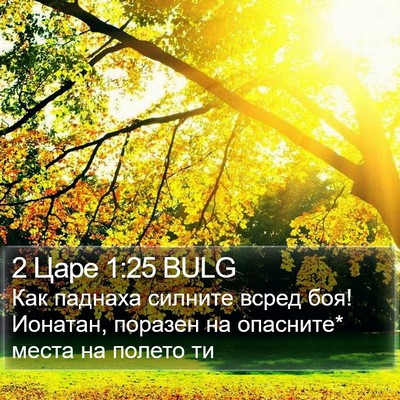 2 Царе 1:25 BULG Bible Verse Image