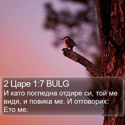 2 Царе 1:7 BULG Bible Verse Image