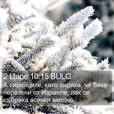 2 Царе 10:15 BULG Bible Verse Image