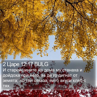 2 Царе 12:17 BULG Bible Verse Image