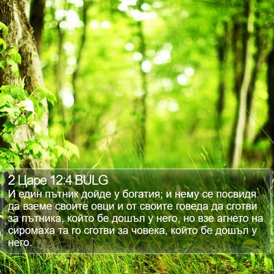 2 Царе 12:4 BULG Bible Verse Image