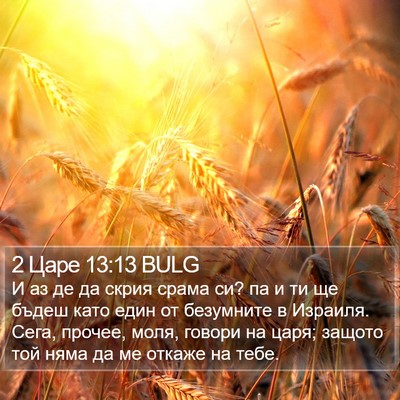 2 Царе 13:13 BULG Bible Verse Image