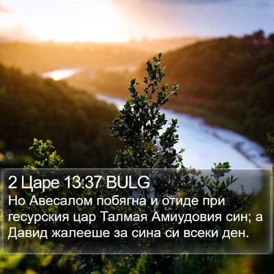 2 Царе 13:37 BULG Bible Verse Image