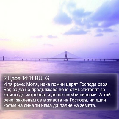 2 Царе 14:11 BULG Bible Verse Image