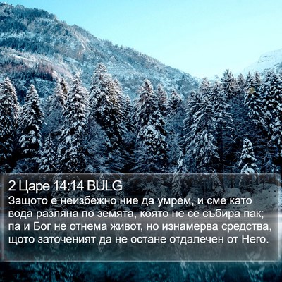 2 Царе 14:14 BULG Bible Verse Image