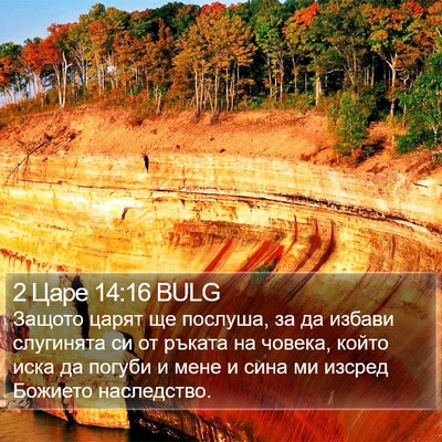 2 Царе 14:16 BULG Bible Verse Image